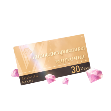 Privilege Card
